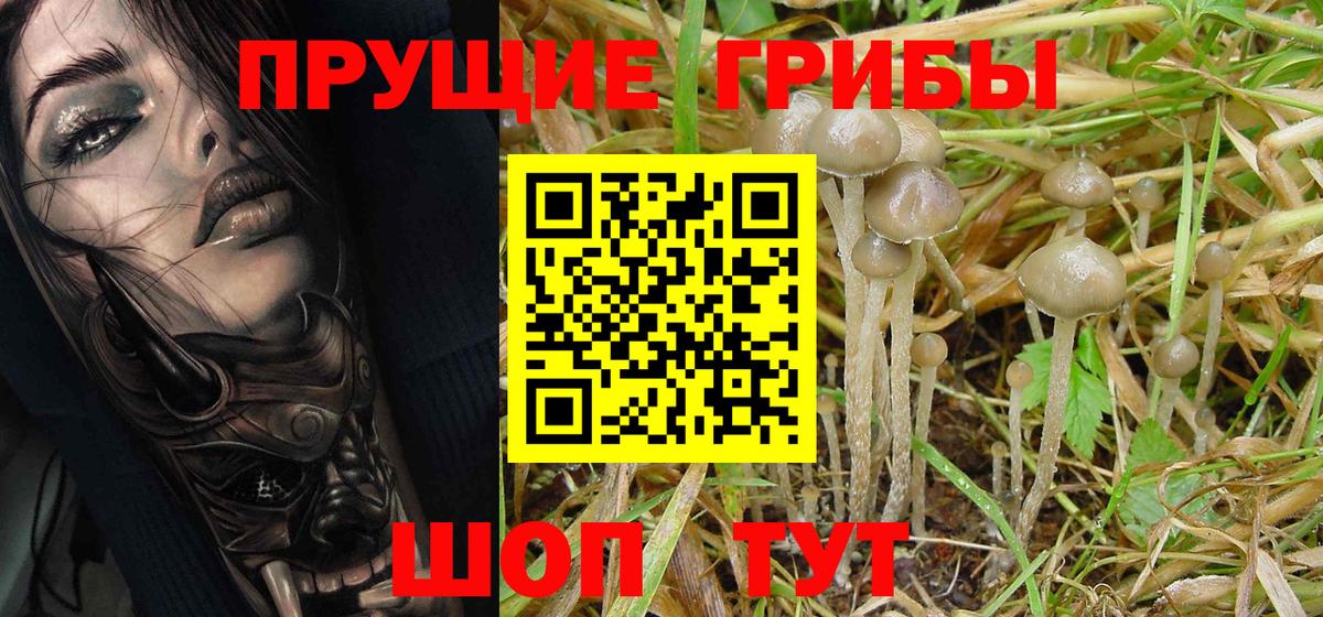 Псилоцибиновые грибы MAGIC MUSHROOMS Орск