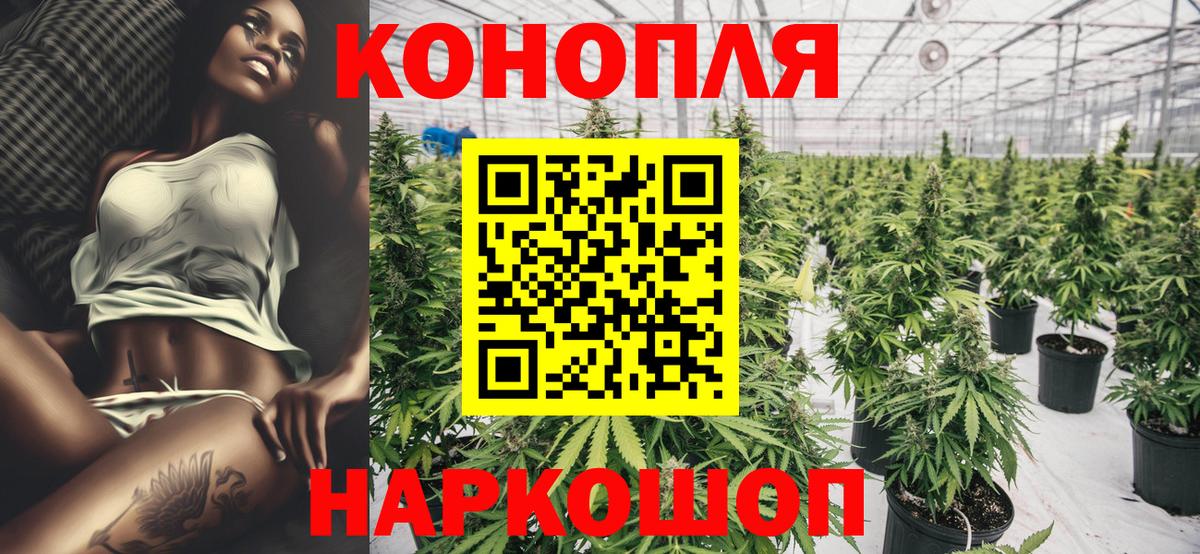 Канабис тримм  Марихуана AK-47  Бошки марихуана планчик  Вход с VPN  Орск 